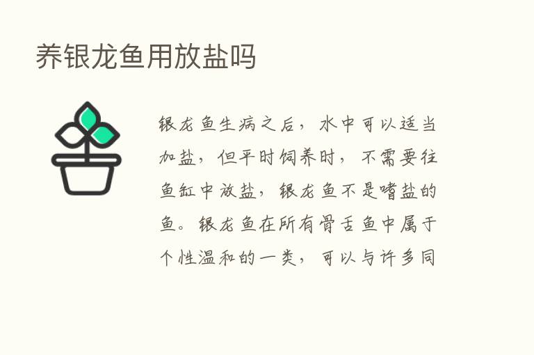 养银龙鱼用放盐吗