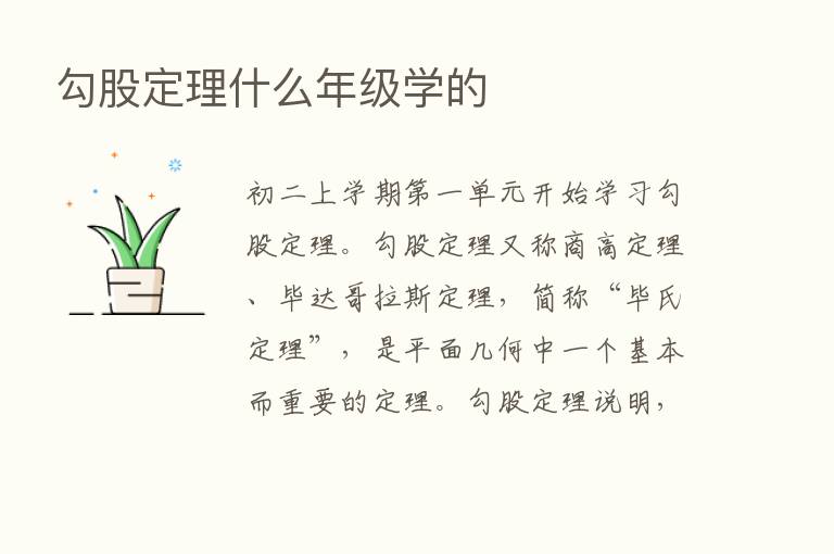 勾股定理什么年级学的