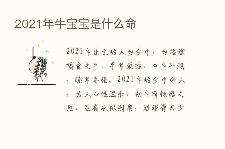 2021年牛宝宝是什么命