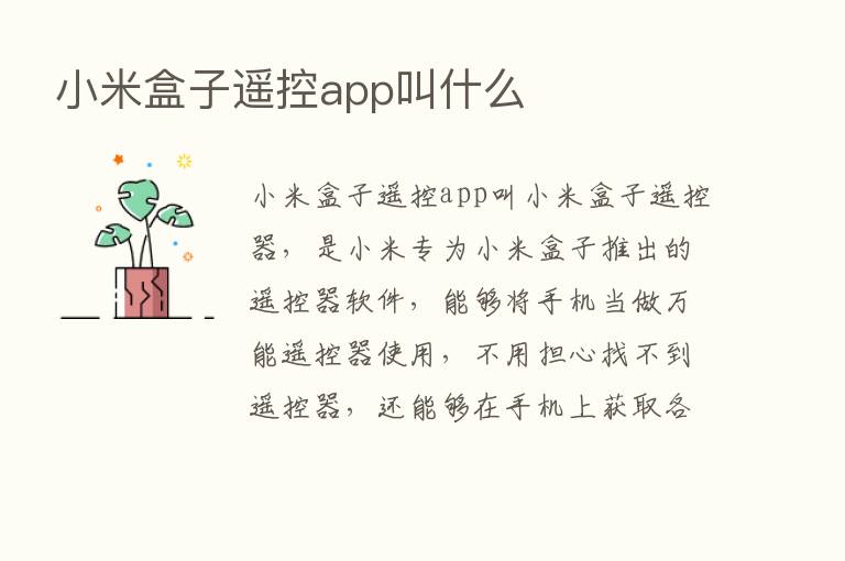 小米盒子遥控app叫什么