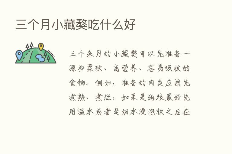 三个月小藏獒吃什么好