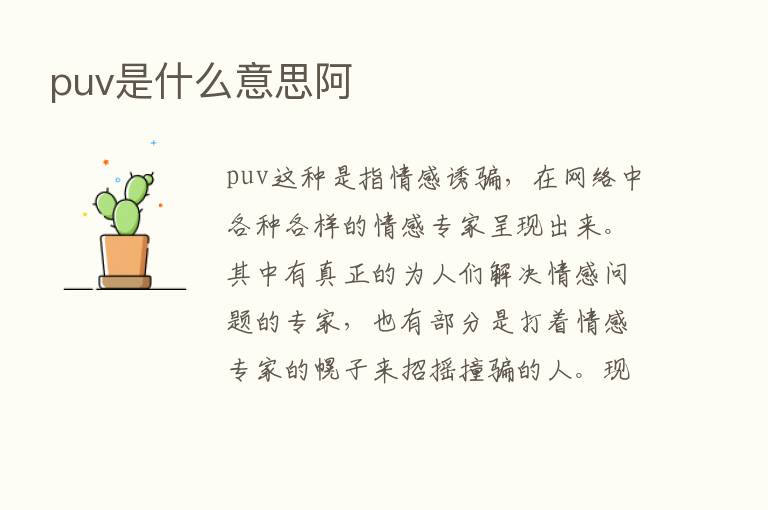 puv是什么意思阿