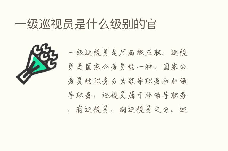 一级巡视员是什么级别的官