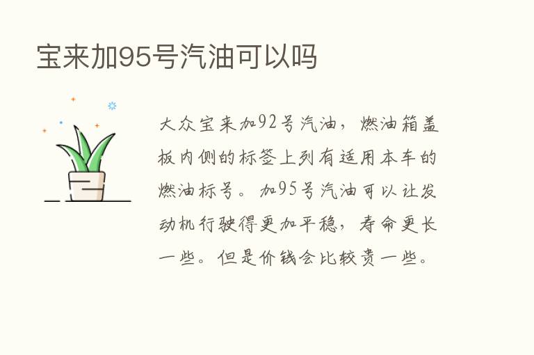 宝来加95号汽油可以吗