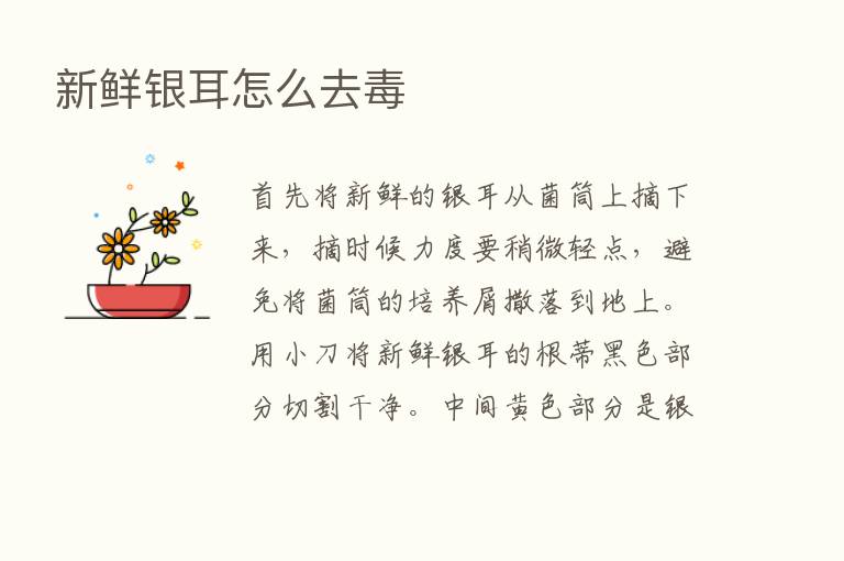 新鲜银耳怎么去毒