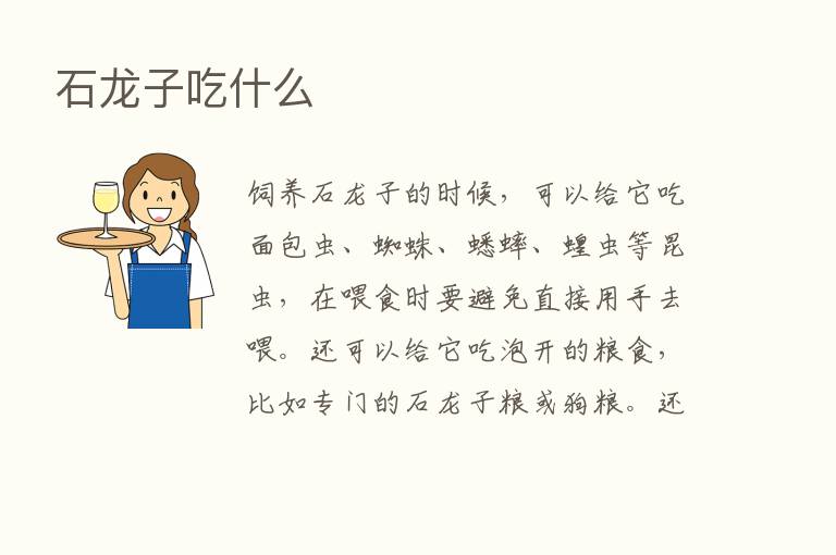 石龙子吃什么