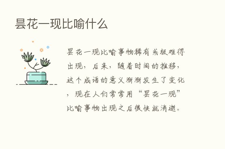 昙花一现比喻什么