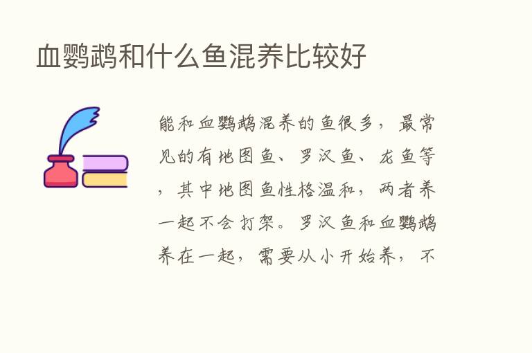 血鹦鹉和什么鱼混养比较好