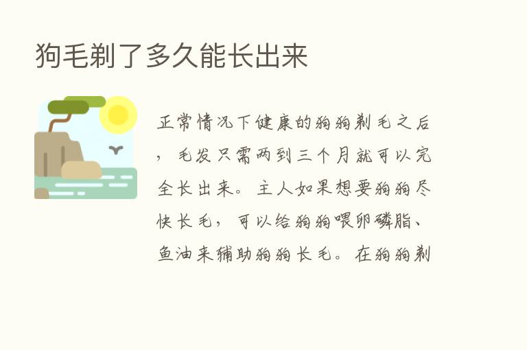 狗毛剃了多久能长出来