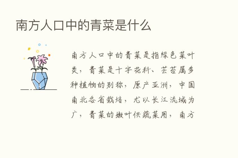 南方人口中的青菜是什么