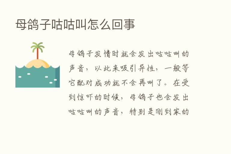 母鸽子咕咕叫怎么回事