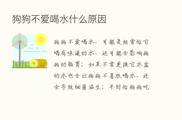 狗狗不爱喝水什么原因