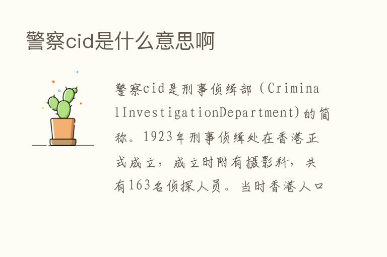 警察cid是什么意思啊