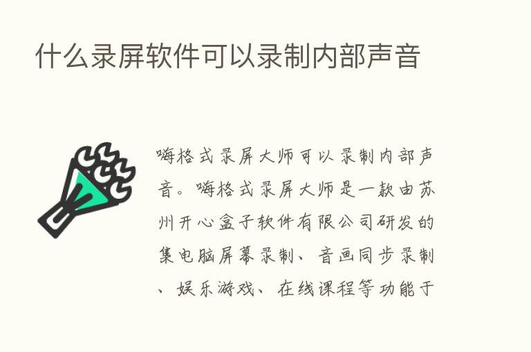 什么录屏软件可以录制内部声音