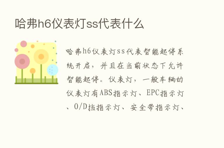 哈弗h6仪表灯ss代表什么