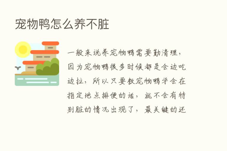 宠物鸭怎么养不脏