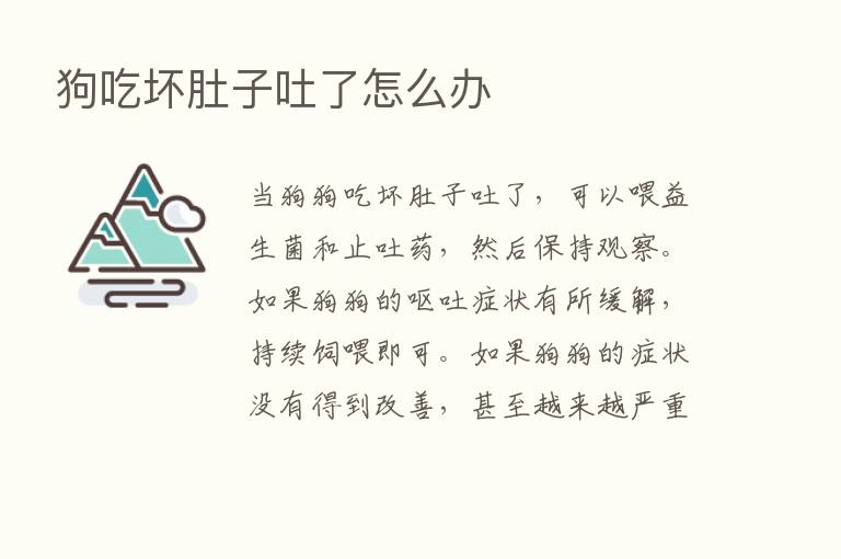 狗吃坏肚子吐了怎么办