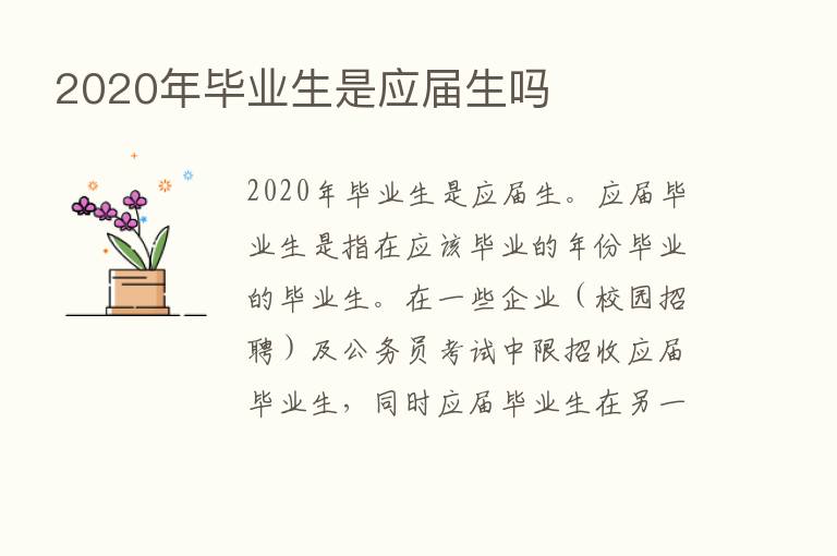 2020年毕业生是应届生吗