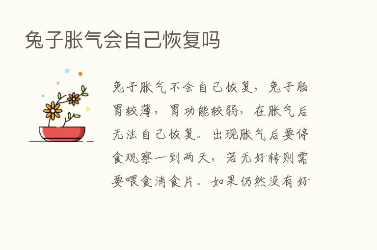 兔子胀气会自己恢复吗