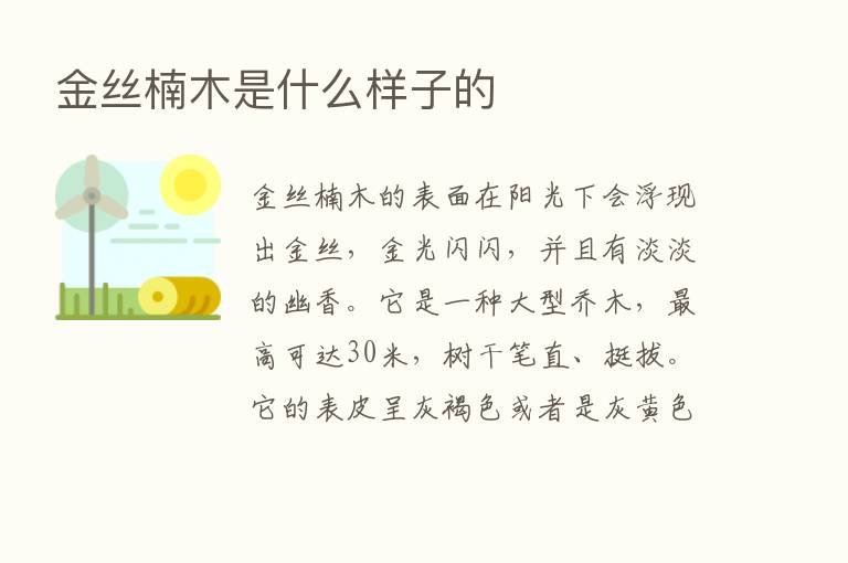 金丝楠木是什么样子的