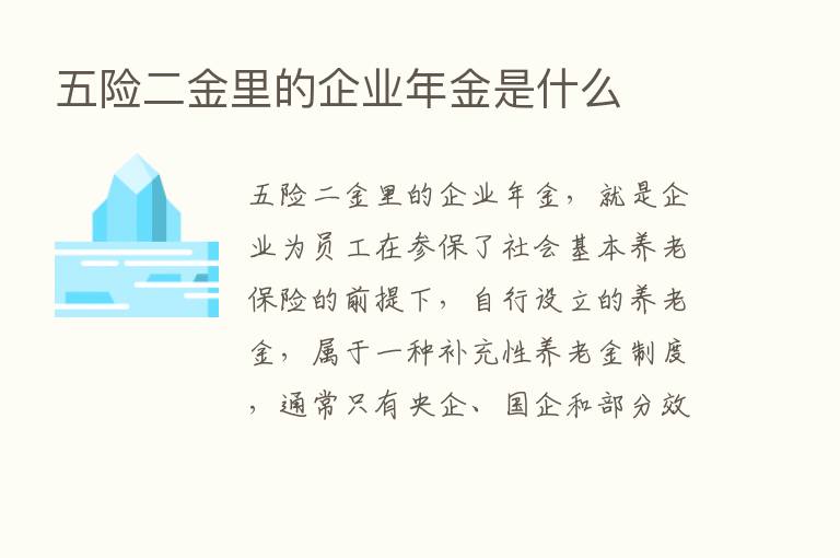 五险二金里的企业年金是什么