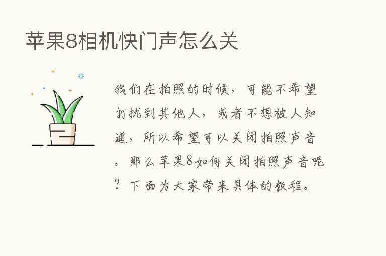 苹果8相机快门声怎么关