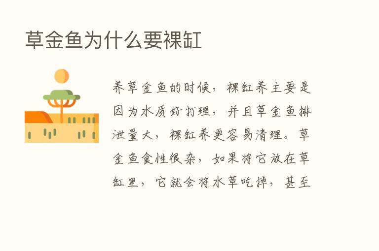 草金鱼为什么要裸缸