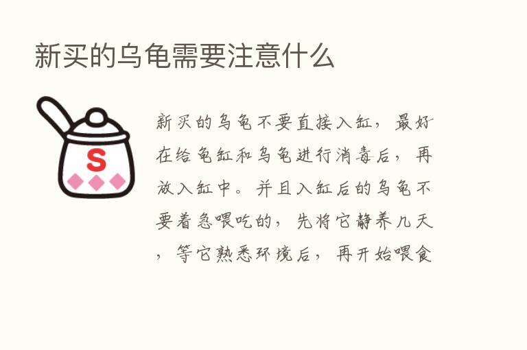 新买的乌龟需要注意什么