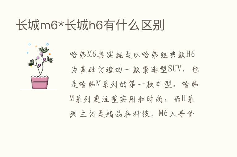 长城m6*长城h6有什么区别