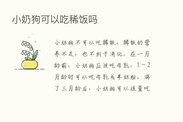 小奶狗可以吃稀饭吗