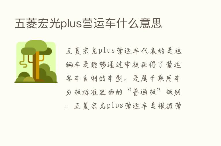 五菱宏光plus营运车什么意思