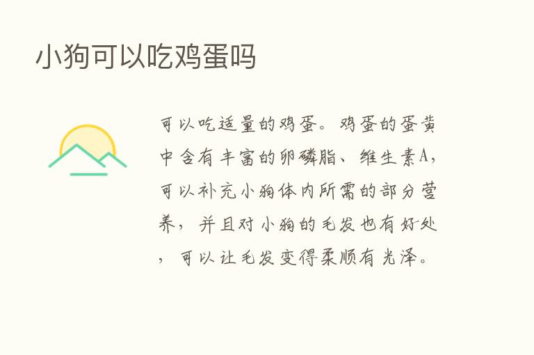 小狗可以吃鸡蛋吗