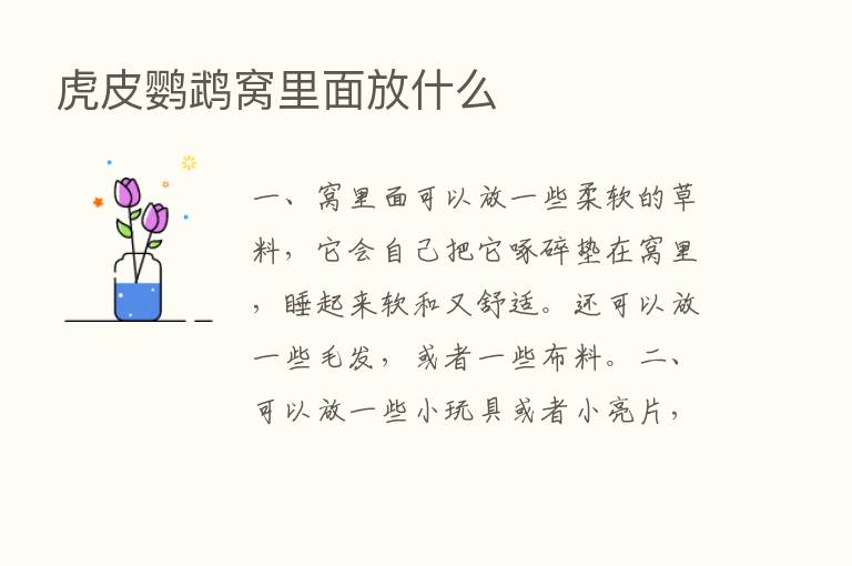 虎皮鹦鹉窝里面放什么