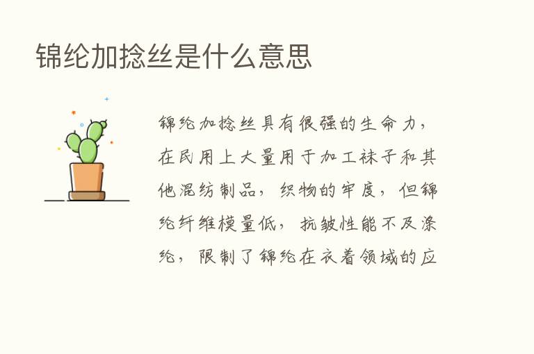 锦纶加捻丝是什么意思