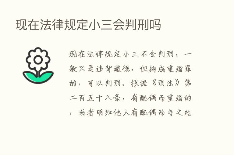 现在法律规定小三会判刑吗