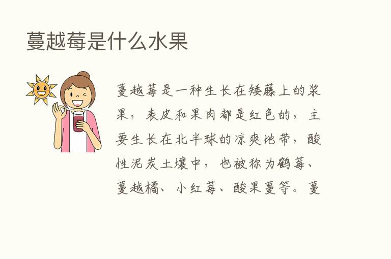 蔓越莓是什么水果