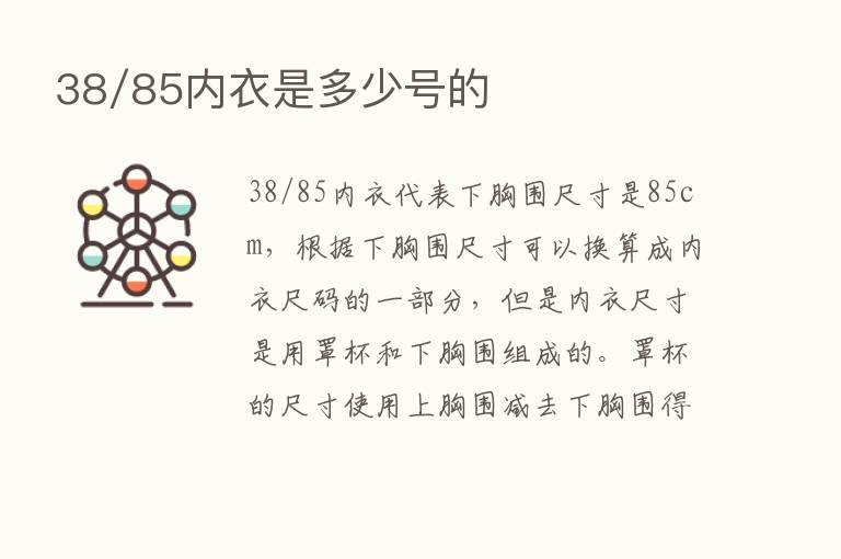 38/85内衣是多少号的