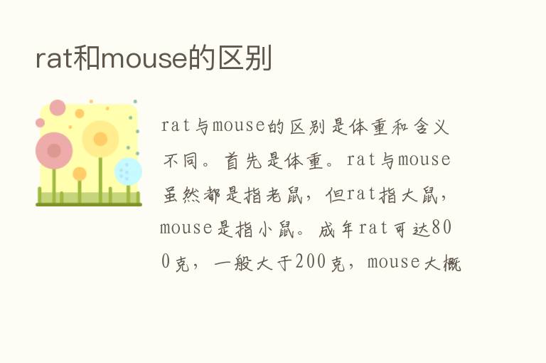 rat和mouse的区别