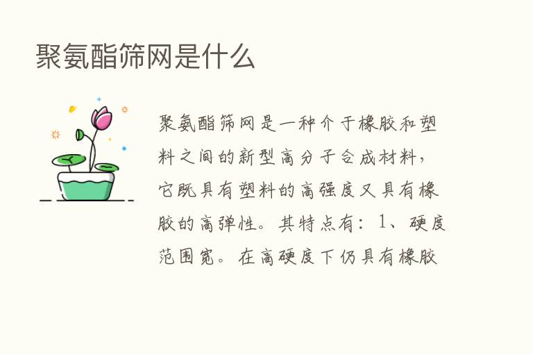 聚氨酯筛网是什么