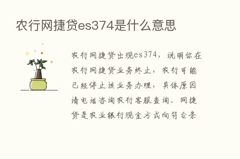 农行网捷贷es374是什么意思