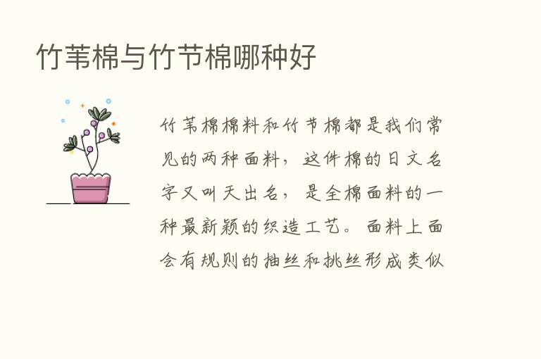 竹苇棉与竹节棉哪种好