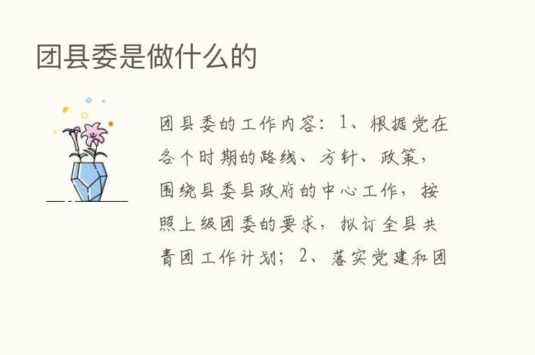 团县委是做什么的