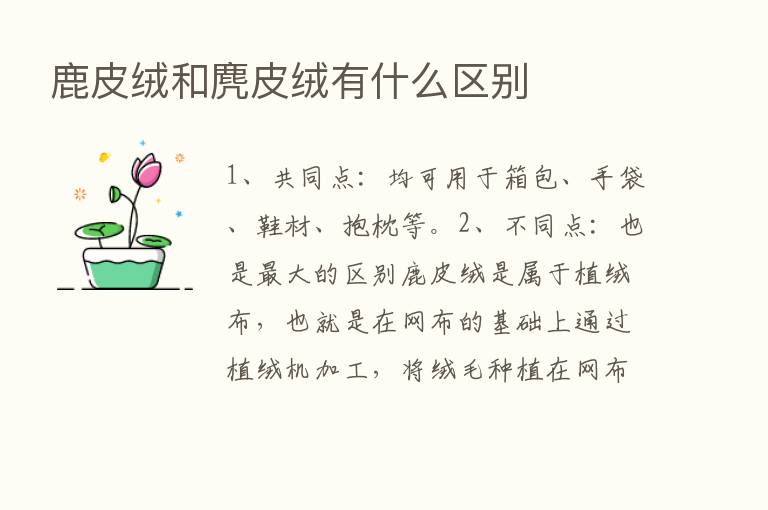 鹿皮绒和麂皮绒有什么区别