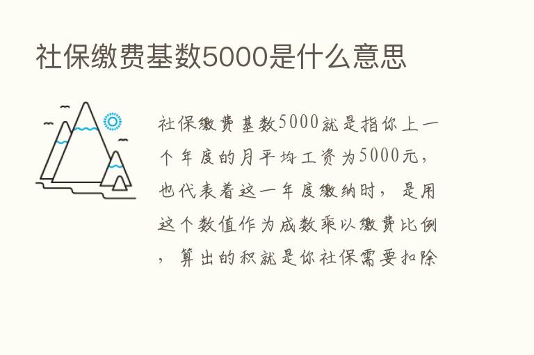 社保缴费基数5000是什么意思