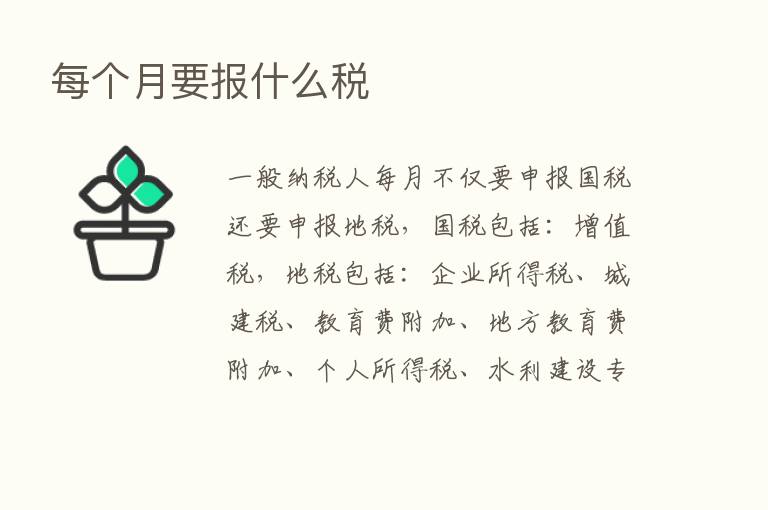 每个月要报什么税