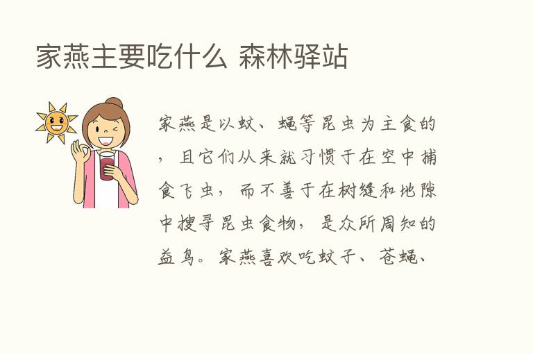 家燕主要吃什么 森林驿站