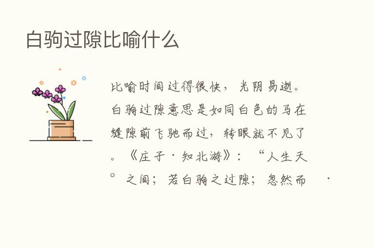 白驹过隙比喻什么