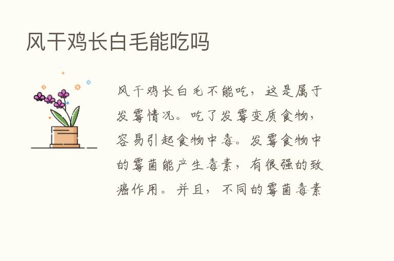 风干鸡长白毛能吃吗