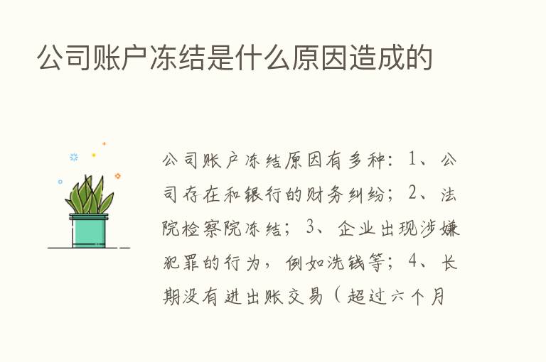 公司账户冻结是什么原因造成的