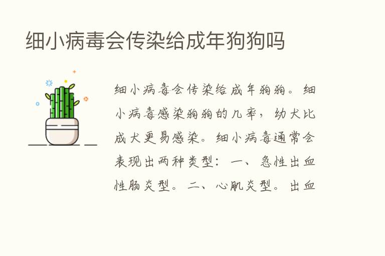 细小病毒会传染给成年狗狗吗